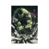 Stampa Marvel - Stampa d'arte Hulk 1 - 46 x 61 cm - senza cornice