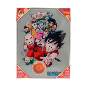 SD Toys - Poster in vetro di Dragonball "Personaggi