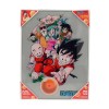 SD Toys - Poster in vetro di Dragonball "Personaggi