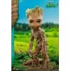 Hot Toys Movie Masterpiece - GROOT DELUXE - Io sono Groot