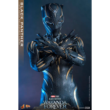 Hot Toys - Pantera Nera - Black Panther Wakanda Forever Movie Masterpiece 1/6