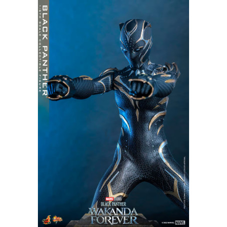 Hot Toys - Pantera Nera - Black Panther Wakanda Forever Movie Masterpiece 1/6