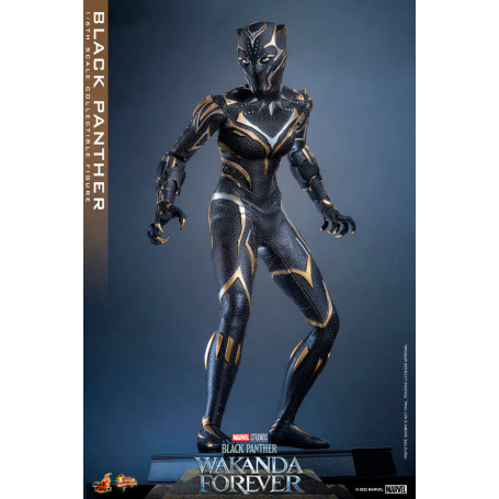 Hot Toys - Pantera Nera - Black Panther Wakanda Forever Movie Masterpiece 1/6