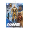 Hasbro G.I.JOE Serie Classificata - Dusty