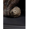 Weta - Statuetta Lo Hobbit - Radagast il Bruno - LOTR