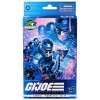Hasbro G.I.JOE Serie Classificata - Mad Marauders Gabriel (Barbecue)