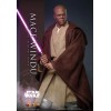 Hot toys - Star Wars Attack of the Clones - Mace Windu 1/6