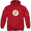 DC Justice League - Sweat Flash Logo