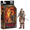 Hasbro - HOLGA - Dungeons & Dragons Honor Among Thieves - Archivio d'oro