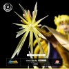Tsume Ikigai - VIRGO SHAKA - Saint Seiya - I Cavalieri dello Zodiaco Scossa della Vergine