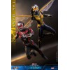 Hot Toys Movie Masterpiece 1/6 The Wasp - AntMan & The Wasp: Quantumania
