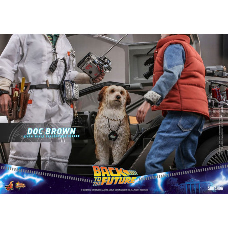 Hot Toys Ritorno al futuro Doc Brown, figura d'azione 1/6
