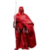 Star Wars The Black Series Carbonized - Guardia Reale dell'Imperatore e Pilota di TIE Fighter 2-Pack - 40° Anniversario ROTJ