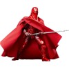Star Wars The Black Series Carbonized - Guardia Reale dell'Imperatore e Pilota di TIE Fighter 2-Pack - 40° Anniversario ROTJ