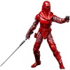 Star Wars The Black Series Carbonized - Guardia Reale dell'Imperatore e Pilota di TIE Fighter 2-Pack - 40° Anniversario ROTJ
