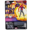 Leggende Marvel - Peter B. Parker - Attraverso lo Spider-Verse Parte Prima