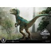 Prime 1 Studio - Statua in scala 1/2 di Jurassic World: Fallen Kingdom - Baby Blue
