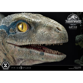 Prime 1 Studio - Statua in scala 1/2 di Jurassic World: Fallen Kingdom - Baby Blue