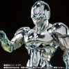 Bandai Tamashii - DBZ SHF - Raffreddatore in metallo - SHFiguarts Dragon Ball Z