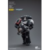 JoyToy Space Marine - Guardia Raven - Intercessori Fratello Colvane 1/18 - Warhammer 40K