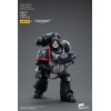 JoyToy Space Marine - Guardia Raven - Intercessori Fratello Colvane 1/18 - Warhammer 40K