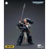 JoyToy Space Marine - Templari Neri - Il campione degli imperatori La vendetta di Bayard 1/18 - Warhammer 40K