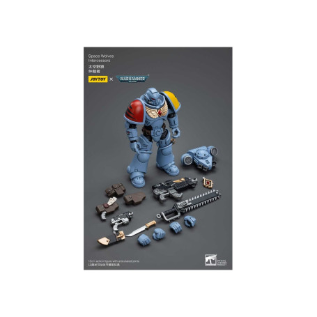 JoyToy Space Marine - Lupi spaziali - Intercessori 1/18 - Warhammer 40K