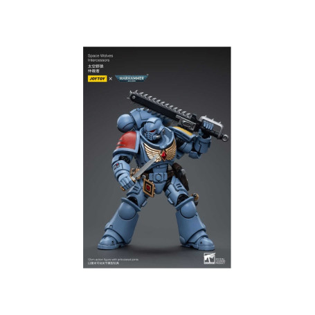 JoyToy Space Marine - Lupi spaziali - Intercessori 1/18 - Warhammer 40K