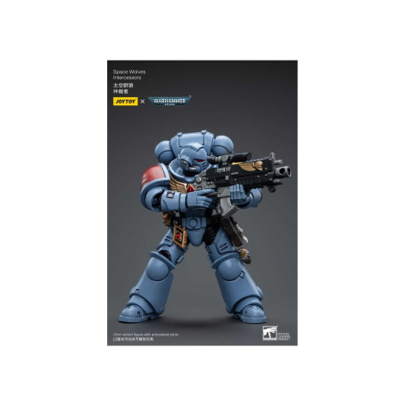JoyToy Space Marine - Lupi spaziali - Intercessori 1/18 - Warhammer 40K