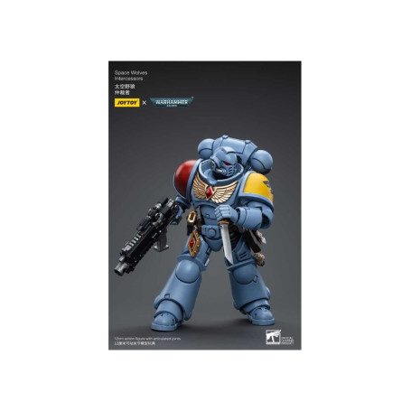 JoyToy Space Marine - Lupi spaziali - Intercessori 1/18 - Warhammer 40K