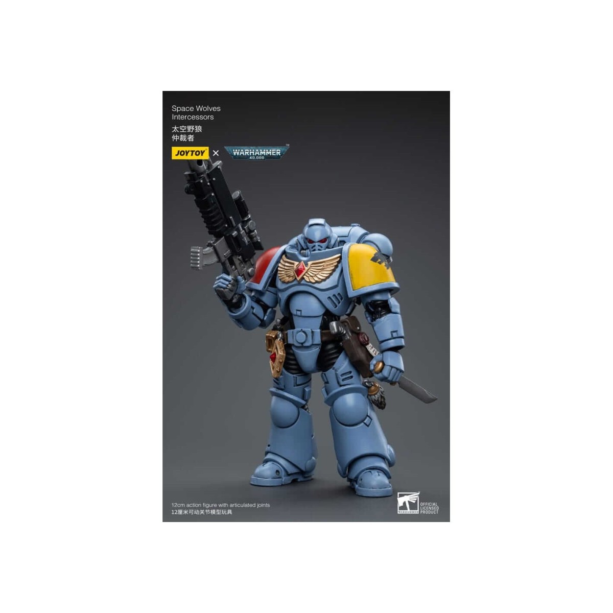 JoyToy Space Marine - Lupi spaziali - Intercessori 1/18 - Warhammer 40K