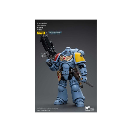 JoyToy Space Marine - Lupi spaziali - Intercessori 1/18 - Warhammer 40K