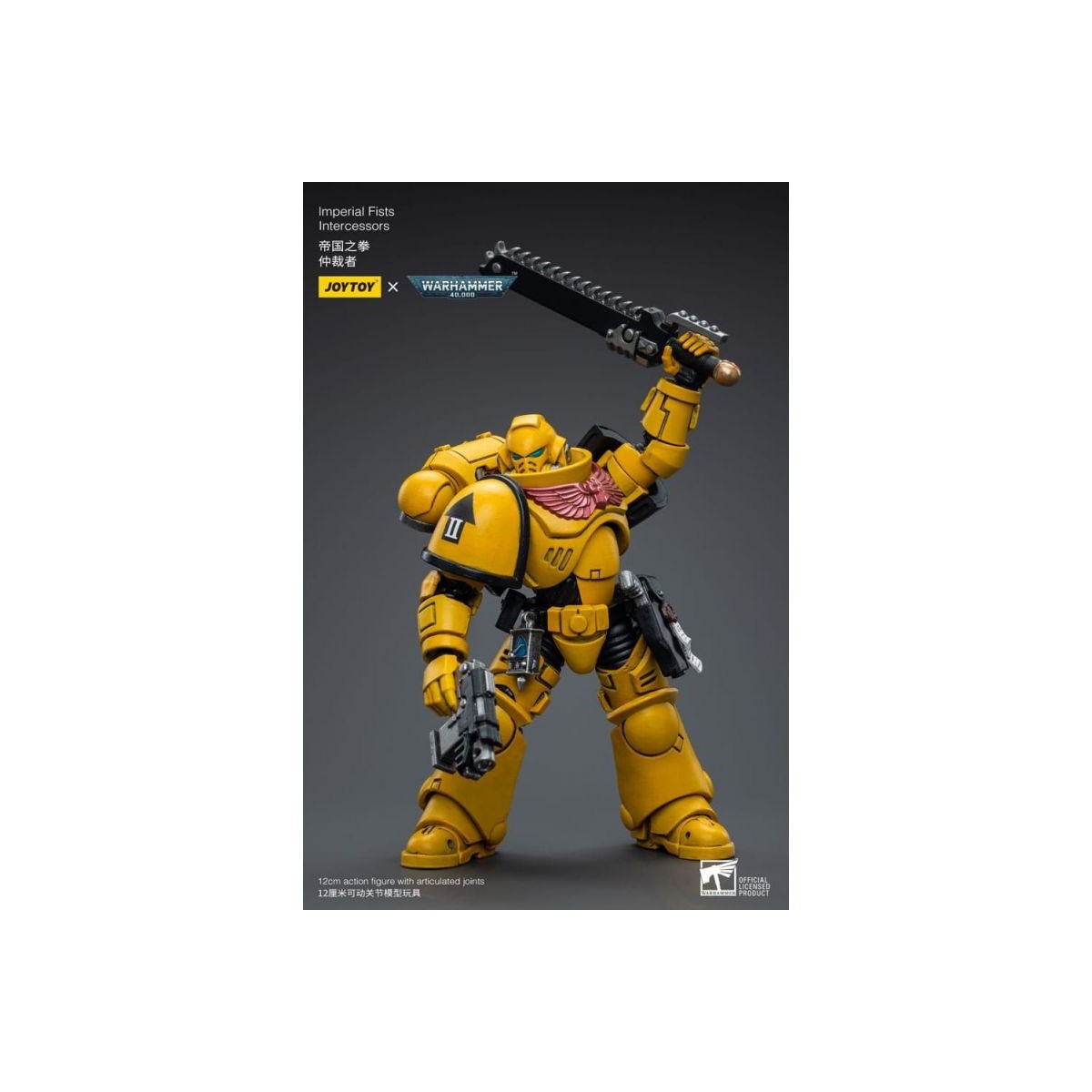 JoyToy Space marines - Pugni imperiali 2 - Intercessori 1/18 - Warhammer 40K